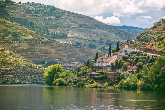 Gala de Abertura Douro Cidade Europeia do Vinho