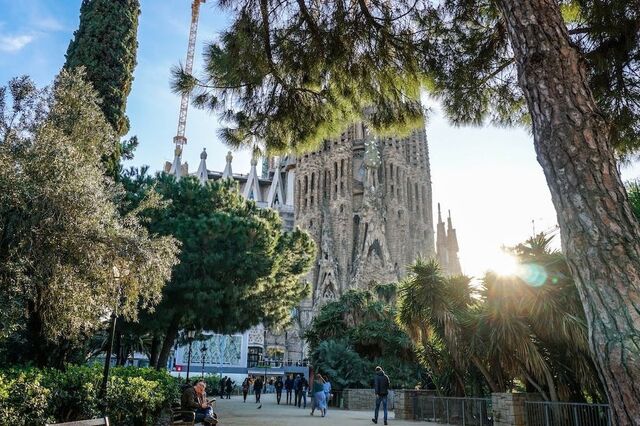 Arborizar cidades pode evitar um terço das mortes por calor  