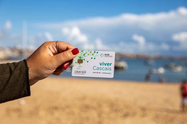 Viver Cascais: a jóia da coroa da revolução digital na autarquia