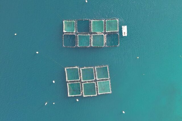 Primeira plataforma mundial de negócios da economia azul lançada em Portugal