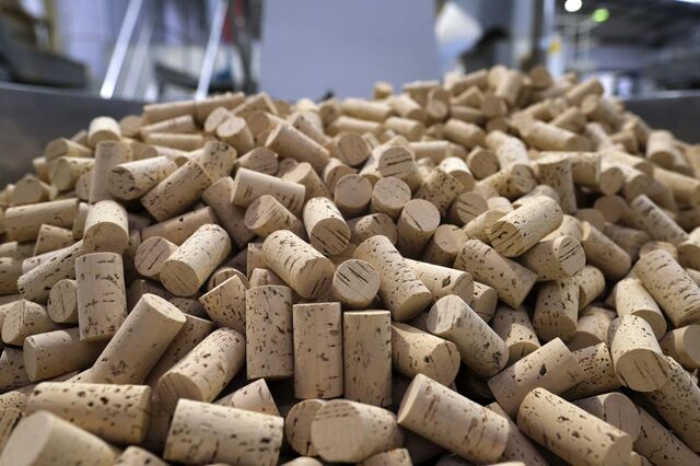 Cork Supply emite 10 milhões de euros em obrigações sustentáveis
