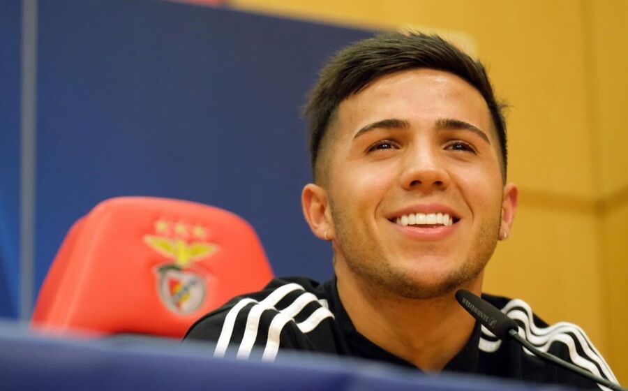 Enzo Fernandez Benfica