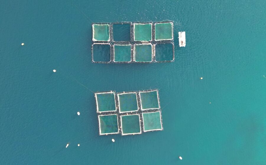 aquacultura sustentabilidade oceanos economia azul