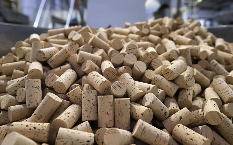 cortiça rolhas cork supply