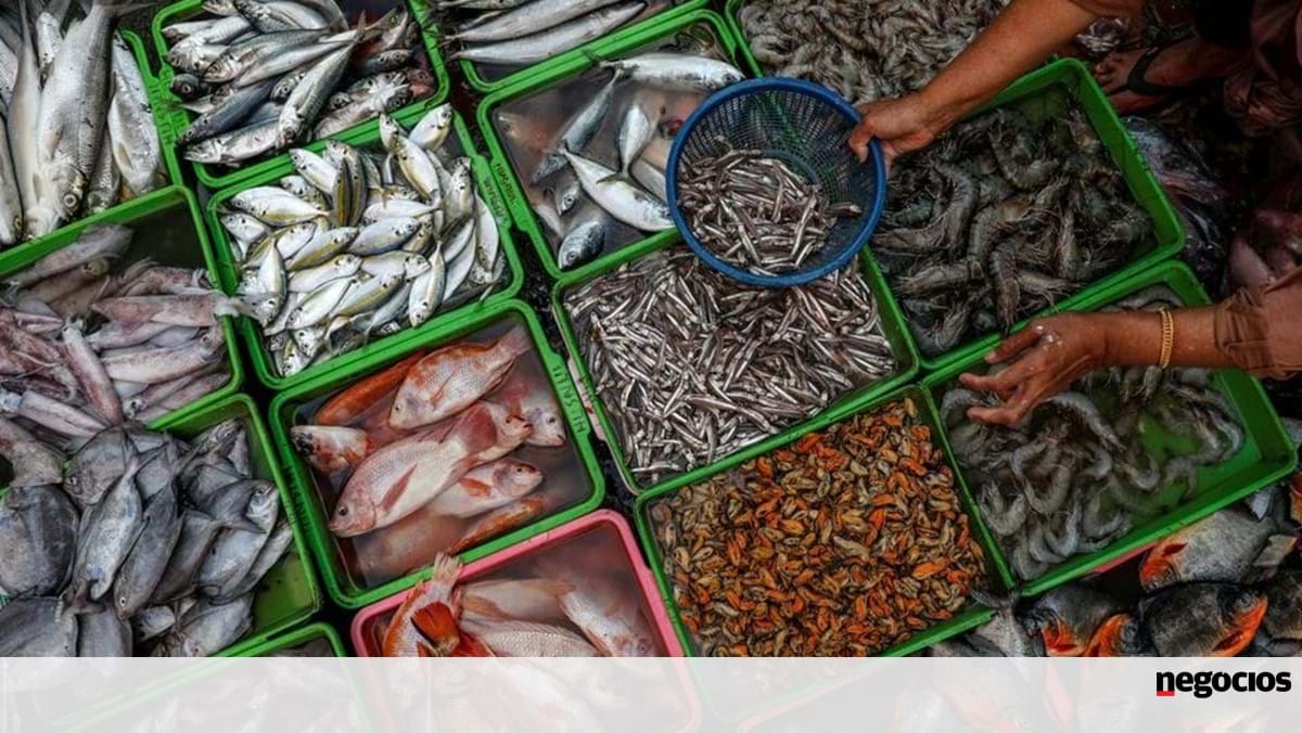 Portugal garante aumento de quotas de pesca com valor comercial de 23 mil milhões