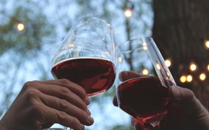ViniPortugal: Portugal pode bater Argentina e voltar a ser 2.º maior exportador de vinho para o Brasil