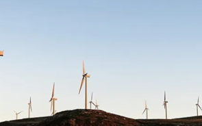 Finerge compra cinco parques eólicos à Onex Renewables, que os adquiriu à EDP por 548 milhões