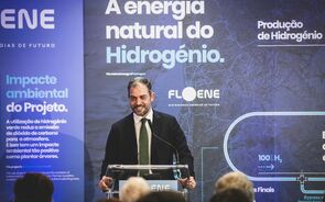 Duarte Cordeiro
