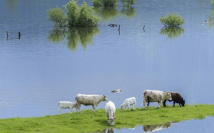 Países em vias de desenvolvimento unem-se para combater efeitos das alterações climáticas