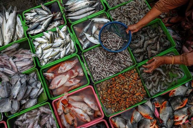 Mar 2030: Abertas candidaturas a primeiros apoios, com dotação de 63,7 milhões de euros