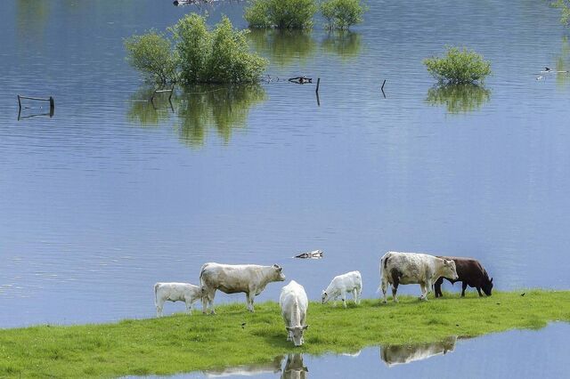 Países em vias de desenvolvimento unem-se para combater efeitos das alterações climáticas