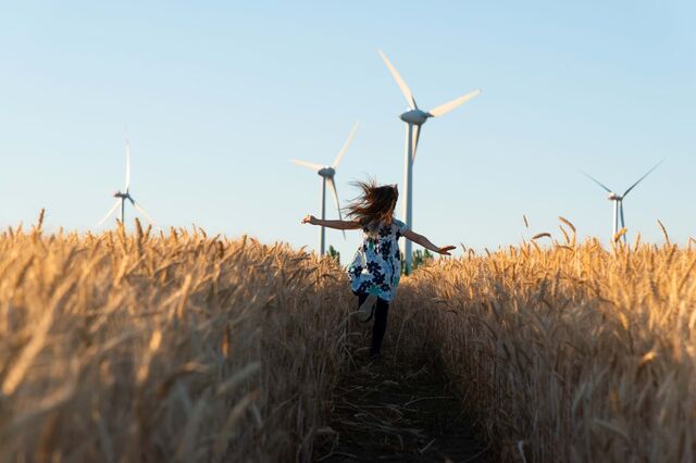 Como as telecomunicações dinamizam a sustentabilidade energética