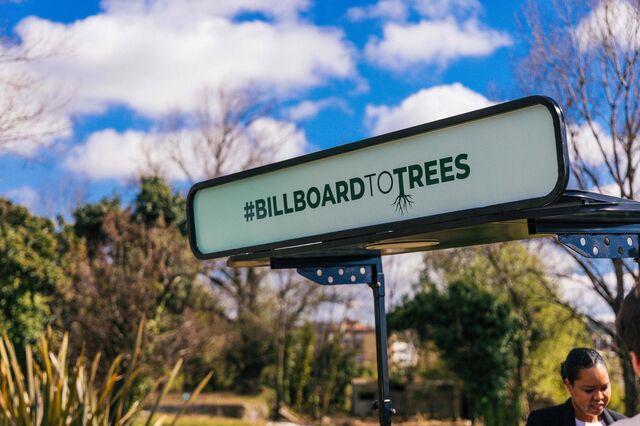 DreamMedia substitui 600 'outdoors' ilegais por árvores na Maia