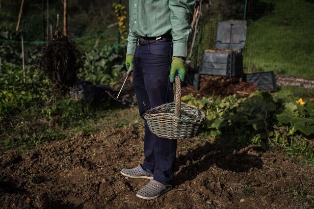 Hortas comunitárias: saber o que se come