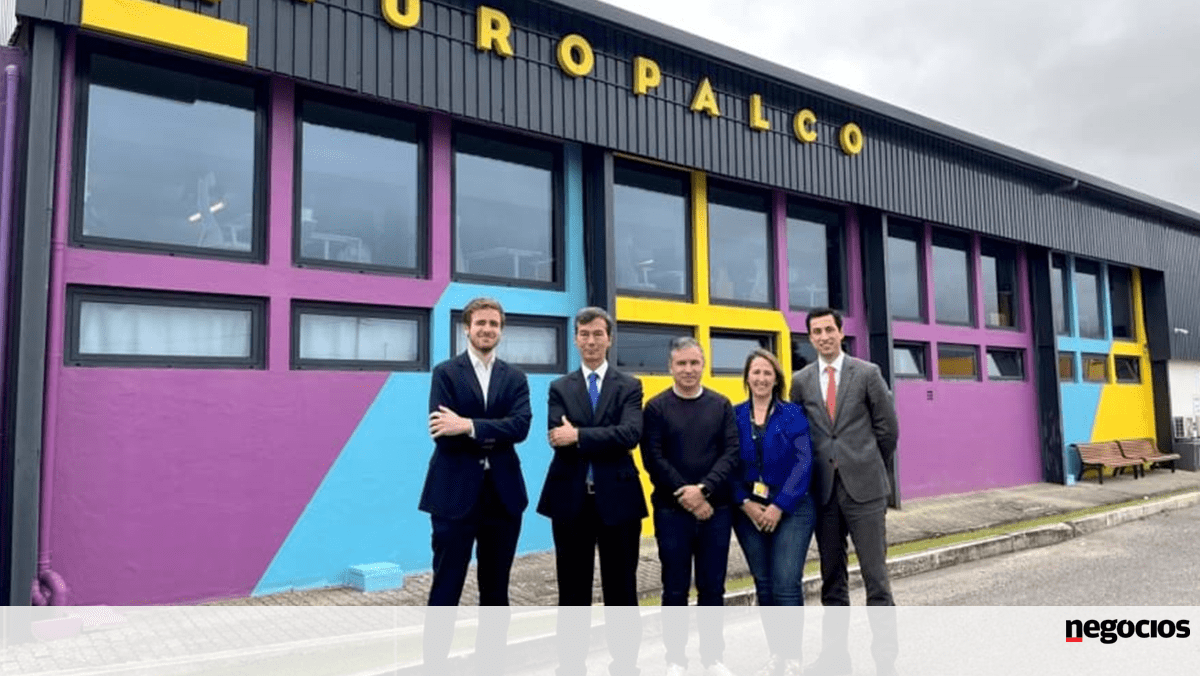 Le partenaire capillaire CR7 à Porto rachète Europalco avec 160 travailleurs – Turismo & Lazer