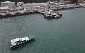 Frota marítima do Porto de Lisboa já circula com 20% de biocombustível 