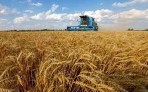 Rússia diz que continua insatisfeita sobre acordo de cereais