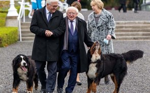 Isto lembra-me uma história: Os cães do presidente da Irlanda