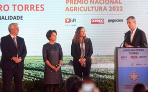 Joaquim Pedro Torres: “Não sou um jovem agricultor, mas estou preparado para continuar a trabalhar”