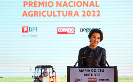 Maria do Céu Antunes: “Os nossos agricultores estão a perder rendimento”