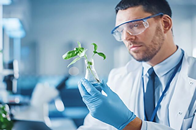 Prémio para empreendedores e inovadores nos setores agrícola, agroalimentar e florestal
