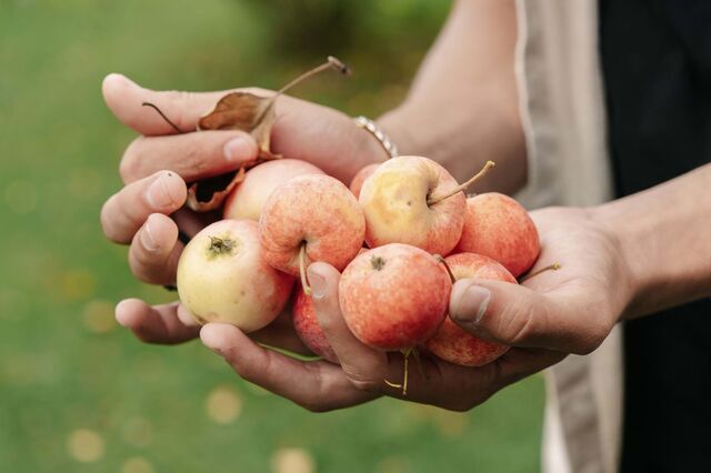 CE quer frutos e produtos hortícolas “feios” isentos do cumprimento das normas de comercialização