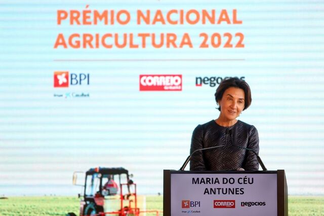 Maria do Céu Antunes: “Os nossos agricultores estão a perder rendimento”