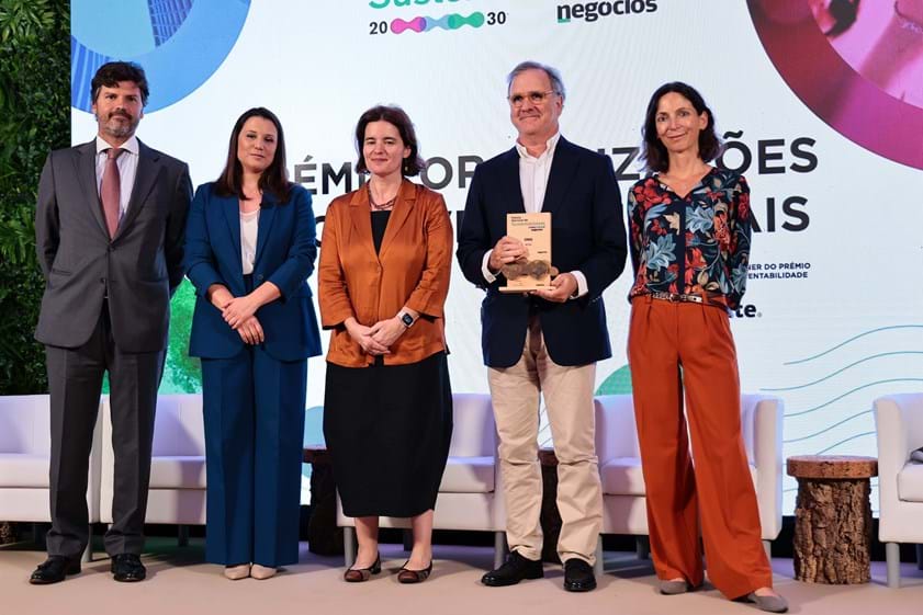 O primeiro Prémio Organização Não Governamental (ONG) foi atribuído ao BCSD Portugal. António Pires de Lima, presidente do BCSD Portugal recebeu o prémio entregue pela ministra da Presidência, Maria Vieira da Silva,  Joana Balsemão, vereadora da Câmara Municipal de Cascais, Miguel Eiras Antunes, partner da Deloitte e Diana Ramos, diretora do Jornal de Negócios.