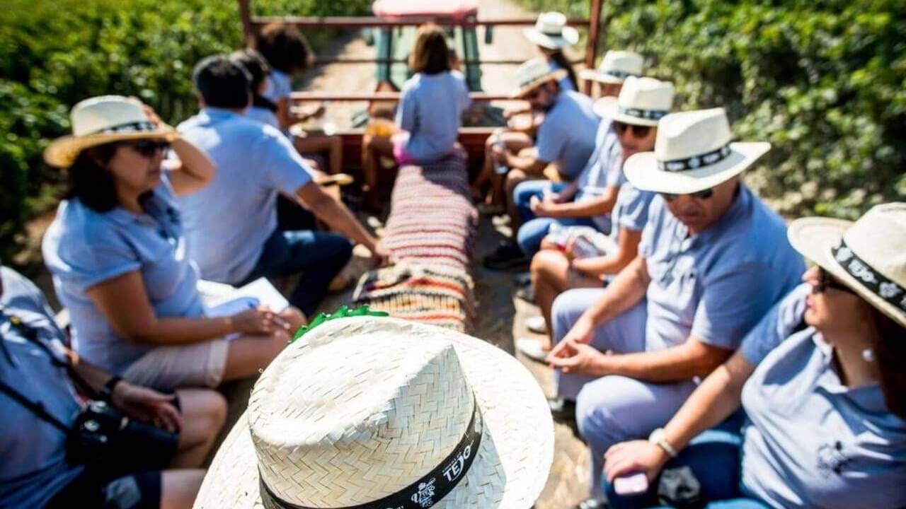 Vinhos do Tejo