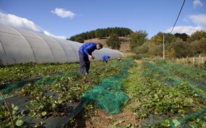 EDP Solidária, energia que transforma vidas