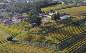 Dona da Porto Cruz compra quinta com 400 anos à Soja de Portugal