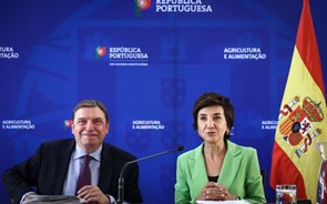 Seca: Portugal vai pedir mobilização extraordinária da reserva agrícola a Bruxelas