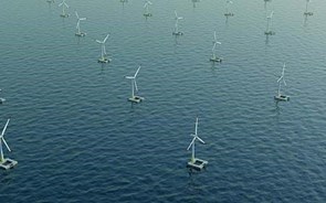 Norueguesa BW Ideol e espanhola Elawan Energy juntas na corrida ao eólico offshore