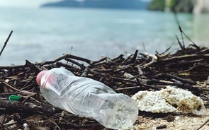 Tratado global sobre plásticos deverá estar concluído em 2024