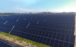 Voltalia investe 11 milhões em novo parque solar do Pinhal Novo