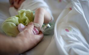 bebé famílias licença parental