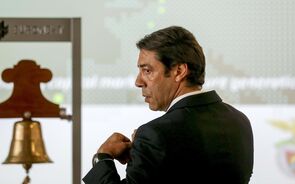 Benfica Euronext Rui Costa