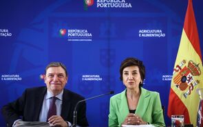Maria do Céu Antunes Luís Planas Puchades