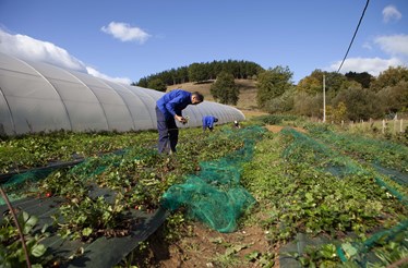 EDP Solidária, energia que transforma vidas