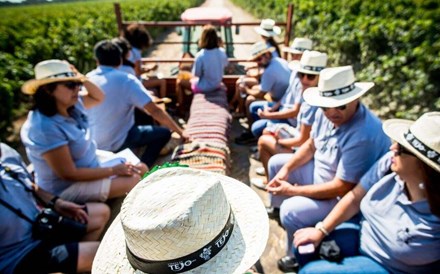 XI Jornadas de Enoturismo do Centro  acontecem dias 11 e 12 em Alcobaça