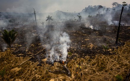 O lucro e o ambiente estão de relações cortadas