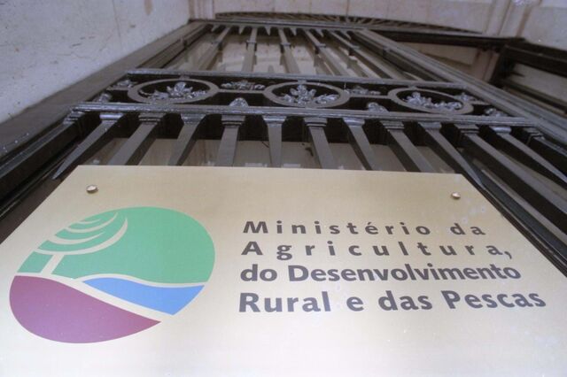 Morreu antigo secretário de Estado do Desenvolvimento Rural Vítor Barros