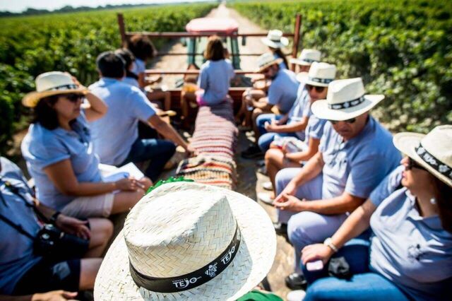 XI Jornadas de Enoturismo do Centro  acontecem dias 11 e 12 em Alcobaça