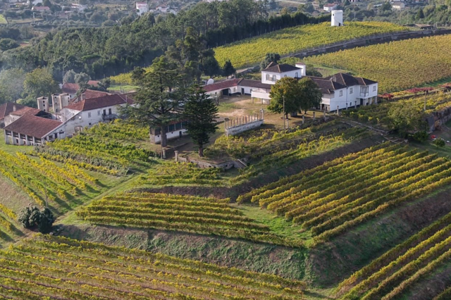 Dona da Porto Cruz compra quinta com 400 anos à Soja de Portugal