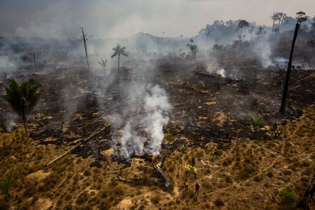 O lucro e o ambiente estão de relações cortadas