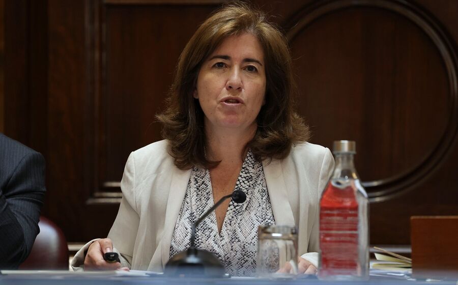 Ana Mendes Godinho