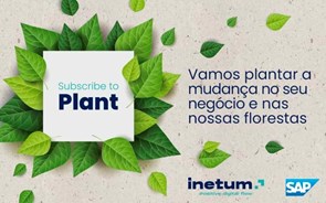 Inetum, SAP e Quercus unem-se na missão de reflorestar Portugal 