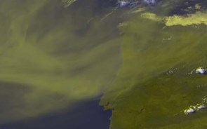 Nuvem de fumo dos incêndios do Canadá já chegou a Portugal Continental
