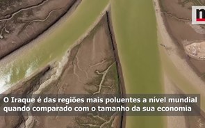 Iraque está a plantar quatro milhões de árvores para proteger o ambiente