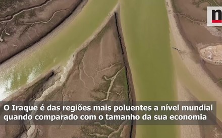 Iraque está a plantar quatro milhões de árvores para proteger o ambiente